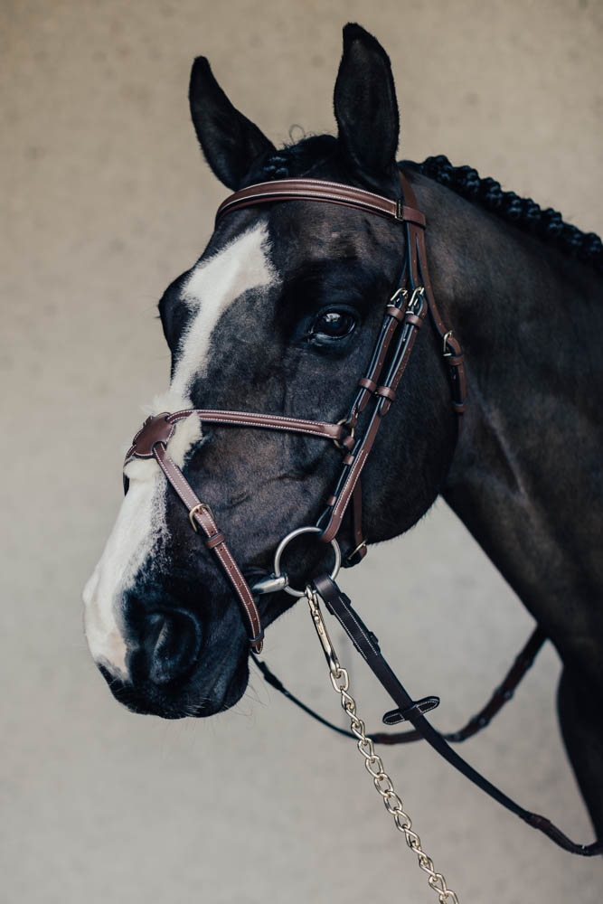 Träns Mexikanskt Emporio m. Silverspänne Cob Brun