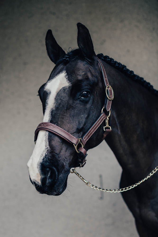 Grimma Empo Pony Brun med Mässingspänne