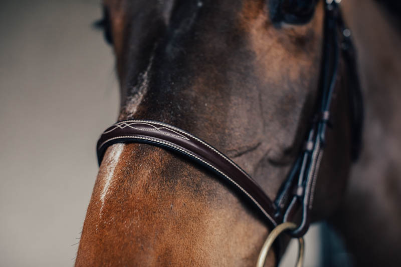 Träns Jakt m. Silverspänne & Flätad Tygel Cob Brun