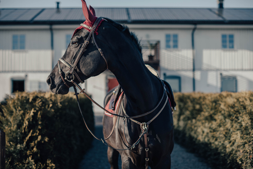 Förbygel Emporio med Mässingspänne Full Svart