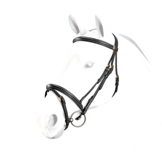 Träns Emporio Cob Svart Silverspännen