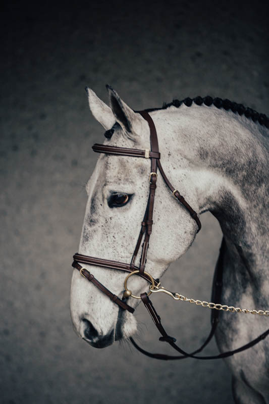 Träns Emporio Cob Svart Silverspännen