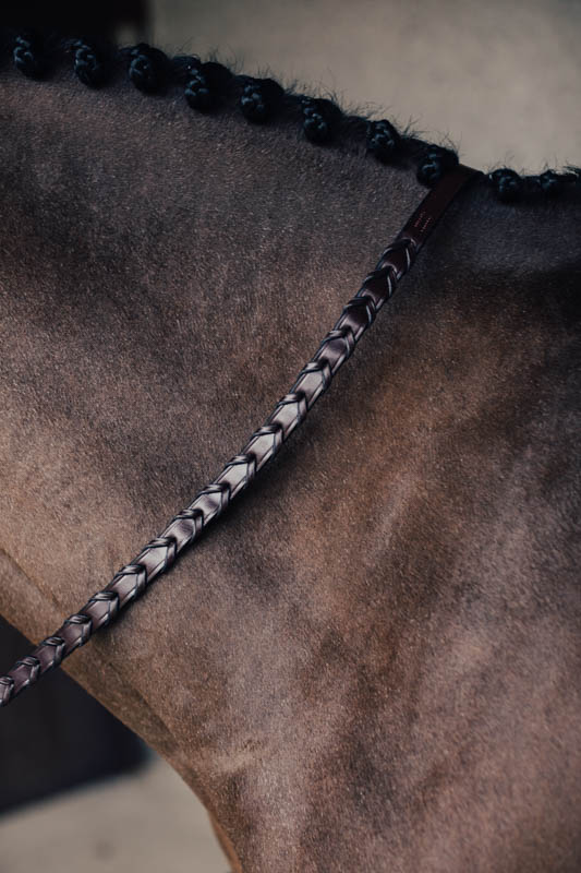 Träns Jakt m. Silverspänne & Flätad Tygel Cob Brun