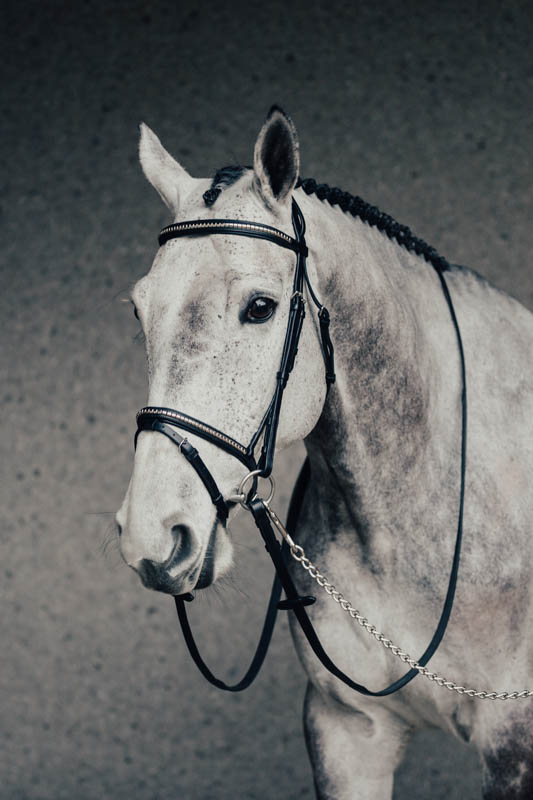 Träns Klinker Full Svart Silverspännen