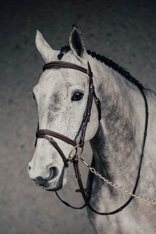 Träns Emporio Pony Svart Silverspännen