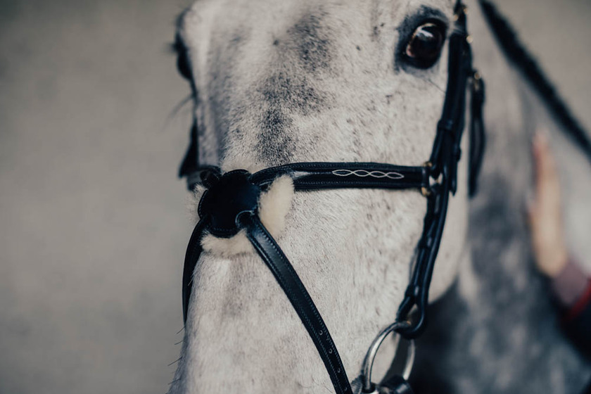 Träns Empo Mexikanskt Broderat m. Silverspänne Cob Svart