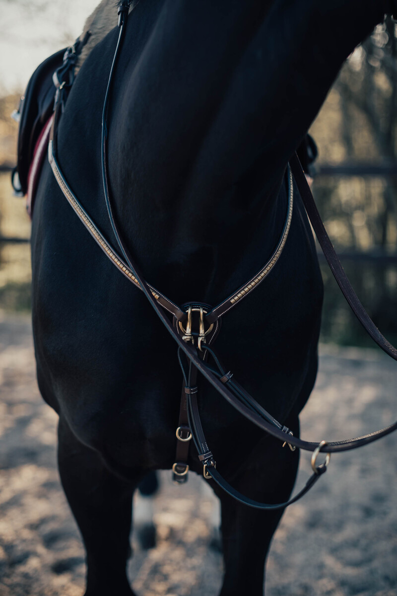 Förbygel Emporio med Mässingspänne Pony Brun