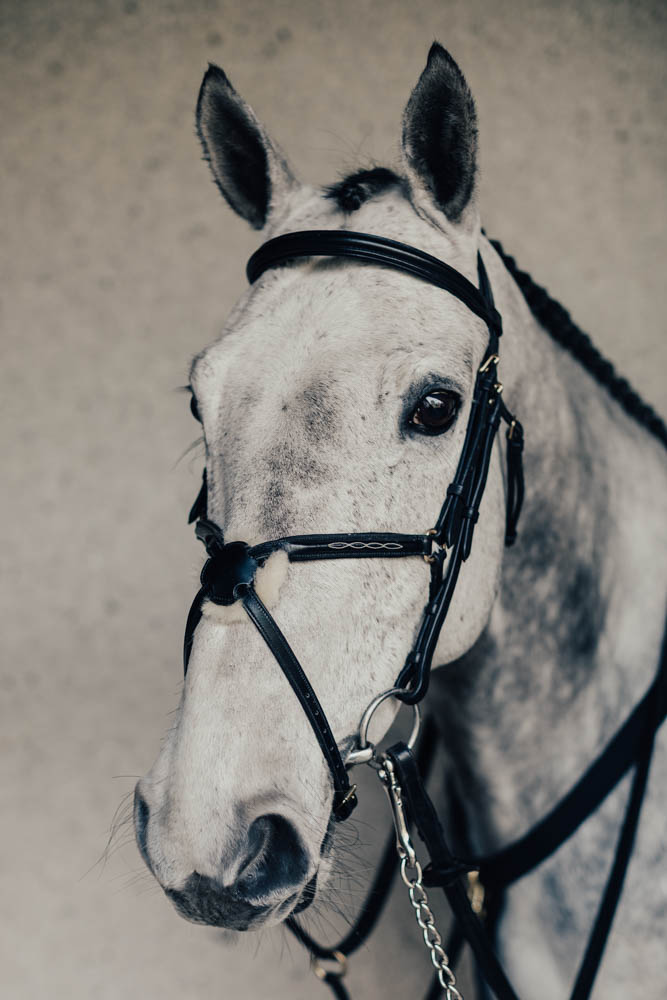 Träns Empo Mexikanskt Broderat m. Silverspänne Cob Svart