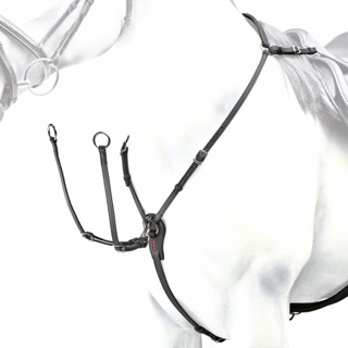 Förbygel Högt Fäste m. Martingal med Mässingspänne Cob Svart