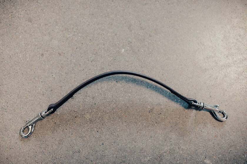 Läderrem Säkerhetshandtag Brun silver