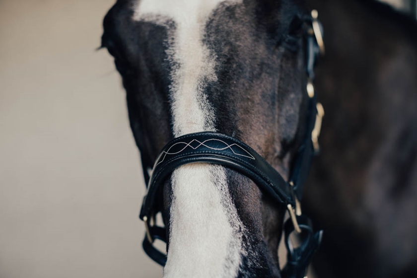 Grimma Empo Pony Svart med Mässingspänne