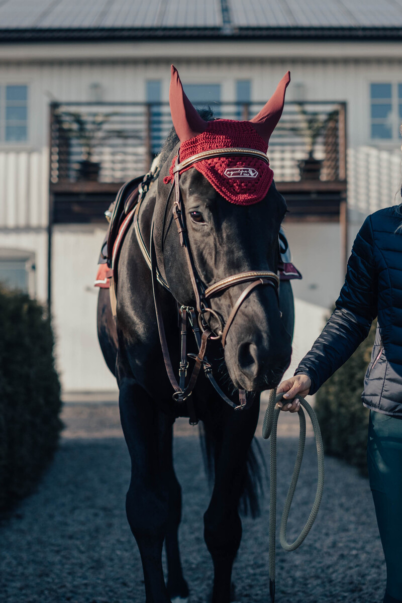 Häst-Luva Bordeaux med Silver Logo
