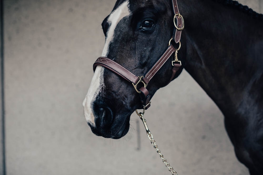 Grimma Empo Pony Brun med Mässingspänne