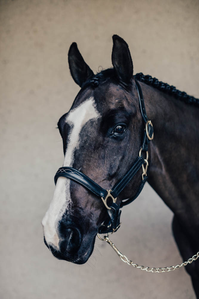 Grimma Empo Pony Svart med Mässingspänne