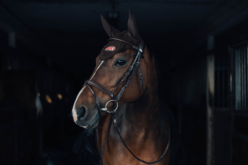 Häst-Luva Brun med Röd Logo