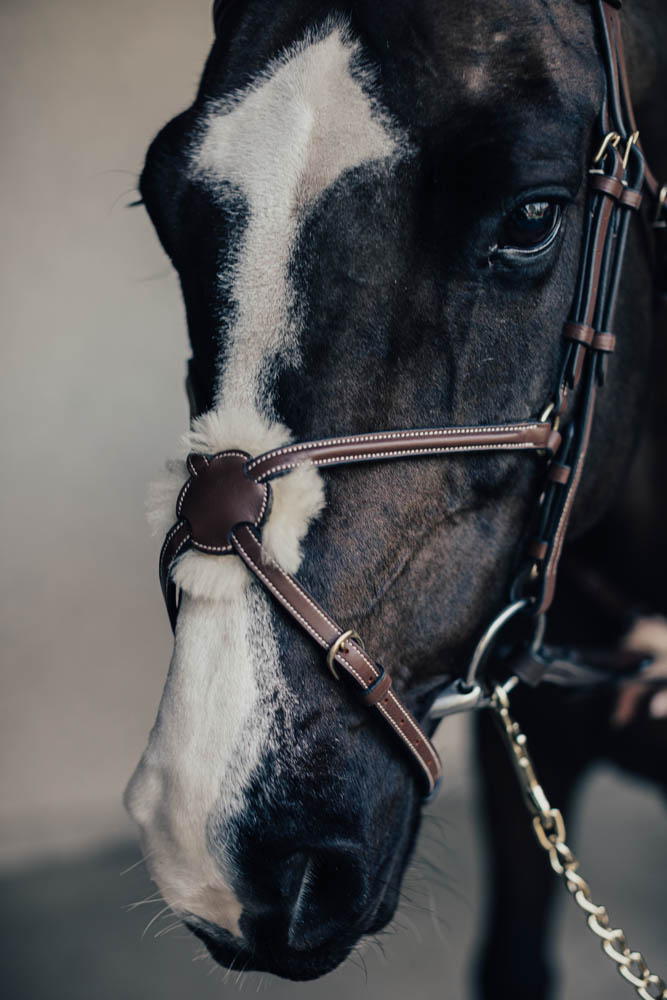 Träns Mexikanskt Emporio m. Silverspänne Cob Brun
