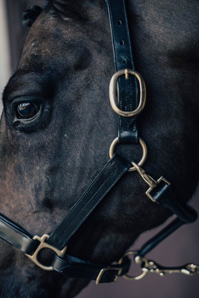 Grimma Empo Pony Svart med Mässingspänne