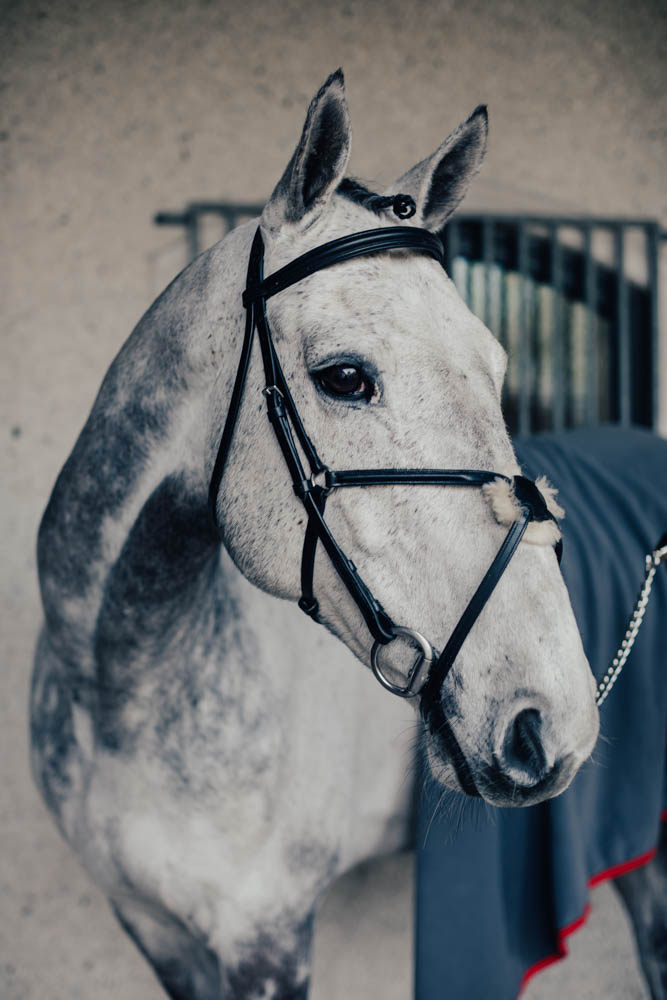 Träns Mexikanskt Emporio m. Silverspänne Cob Svart