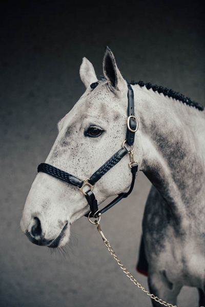 Grimma m.  svart flätning, Cob Svart Mässing