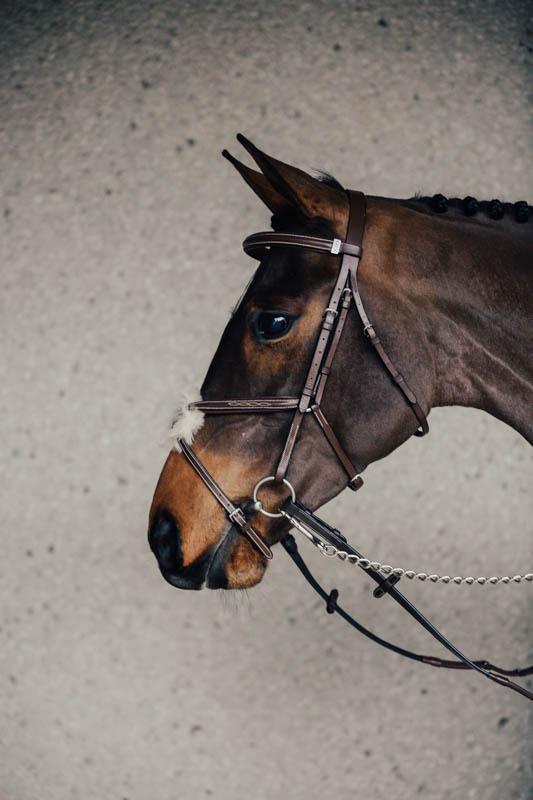 Träns Empo Mexikanskt Broderat m. Mässingspänne Pony Brun