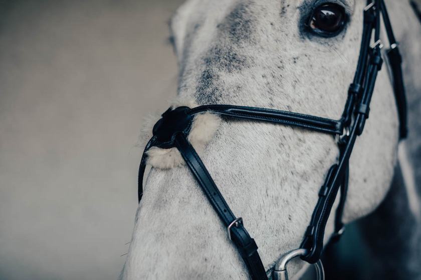 Träns Mexikanskt Emporio m. Silverspänne Cob Svart