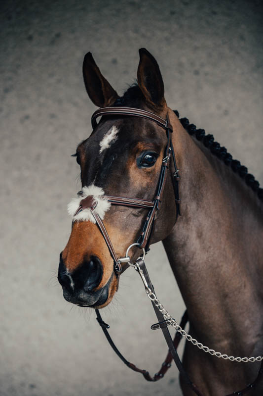 Träns Empo Mexikanskt Broderat m. Mässingspänne Pony Brun