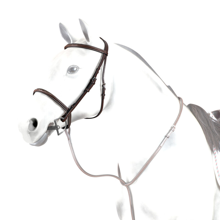 Träns Jakt m. Silverspänne & Flätad Tygel Cob Brun