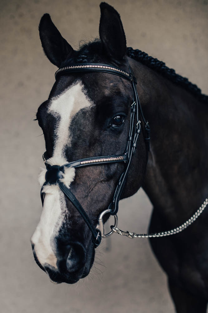 Träns Mexikanskt Klinker Cob Svart Silverspännen