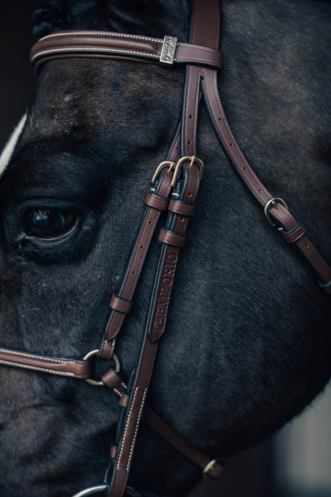 Träns Mexikanskt Emporio m. Silverspänne Cob Brun