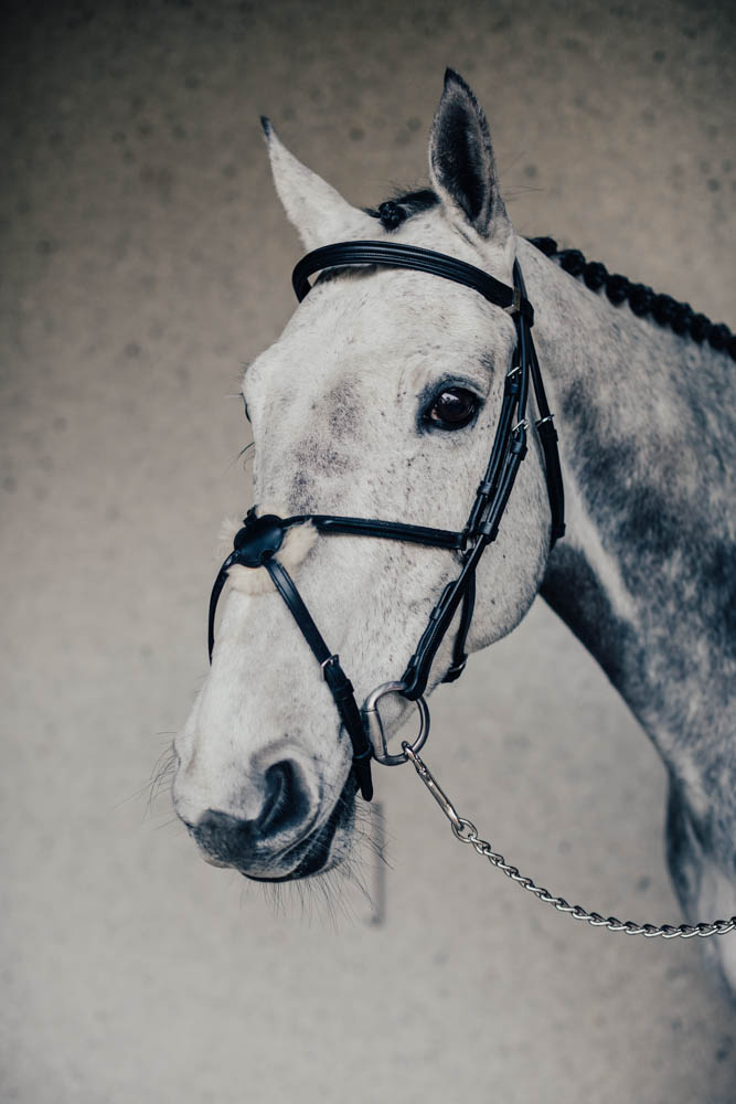Träns Mexikanskt Emporio m. Silverspänne Cob Svart